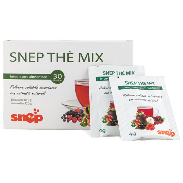 SNEP THE' MIX BUSTINE