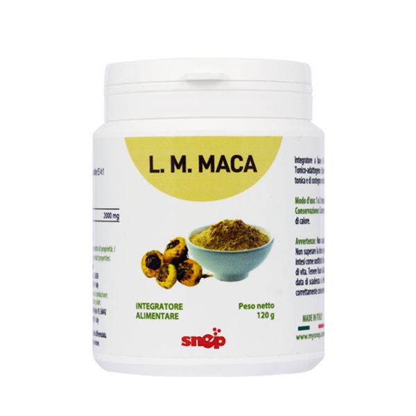 L.M.MACA