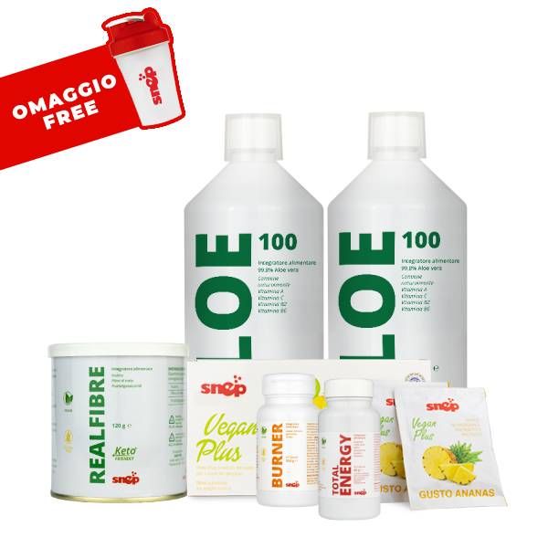 FIT9 DETOX VEGAN ANANAS PLICURI - ALOE BIO 100%