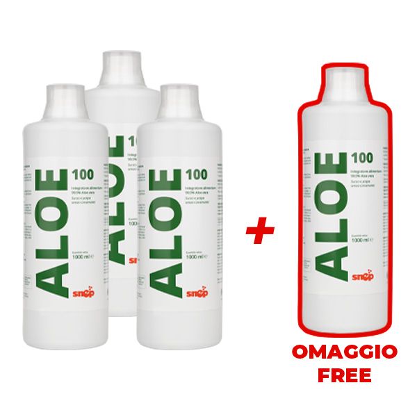 ALOE 3+1