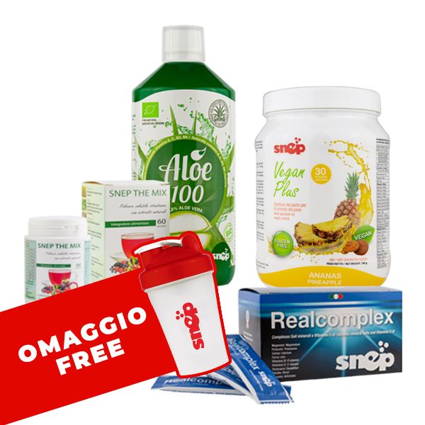 Programma Detox Ananas - Aloe Bio 100%